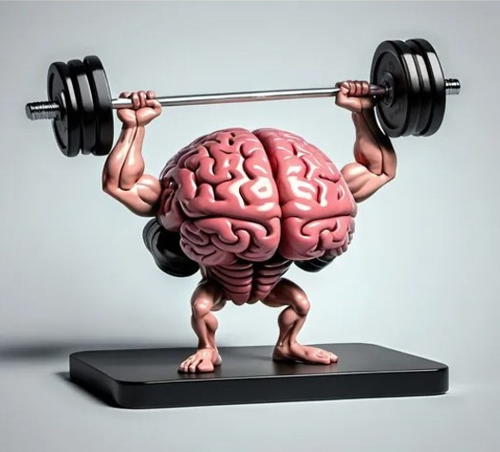 Cognigym 1